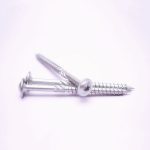 Гвинт з пластинчастою головкою Torx